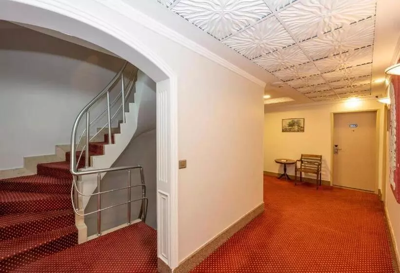 Fotos del hotel Grand Anka:  2