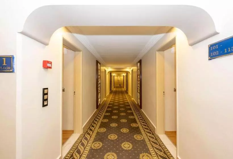 Fotos del hotel Grand Anka:  11