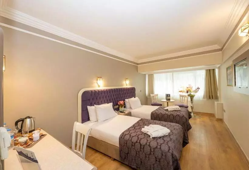 Fotos del hotel Grand Anka:  8