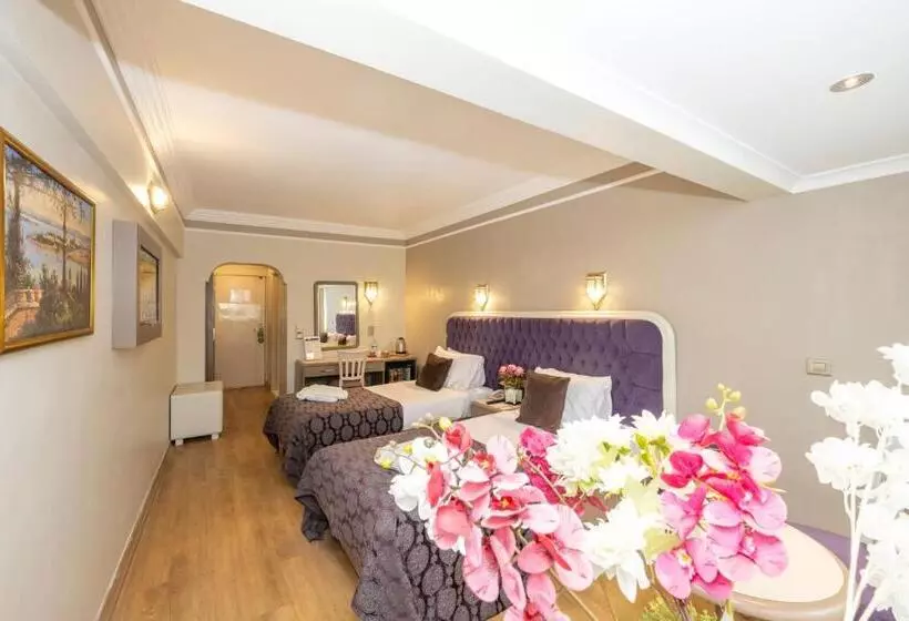 Fotos del hotel Grand Anka:  18