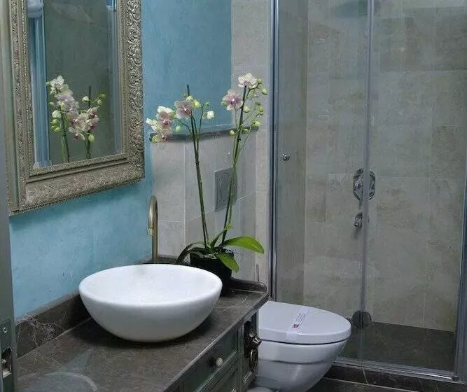 Fotos del hotel Sokullu Pasa   Special Class:  14