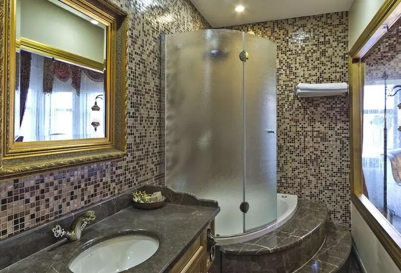 Fotos del hotel Sokullu Pasa   Special Class:  6