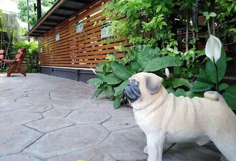 Fotos del hotel Buddy Guesthouse:  5