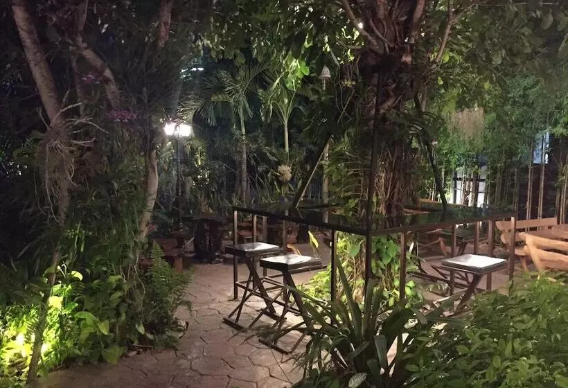Fotos del hotel Buddy Guesthouse:  8