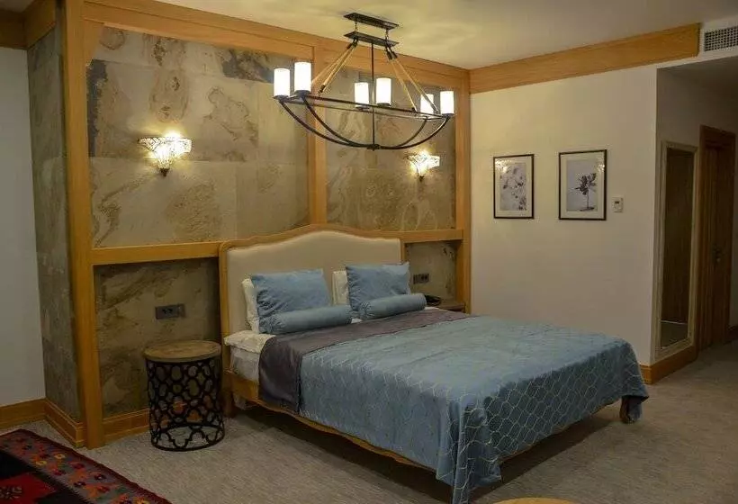 Fotos del hotel Shirvanshah:  11