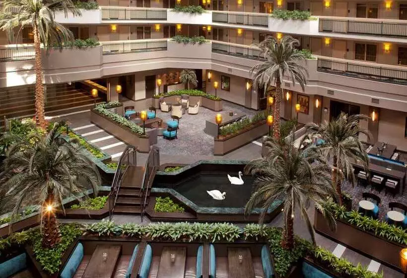 Fotos del hotel Embassy Suites By Hilton Houston Near The Galleria:  16