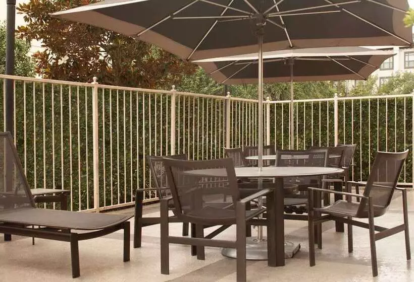 Fotos del hotel Embassy Suites By Hilton Houston Near The Galleria:  8