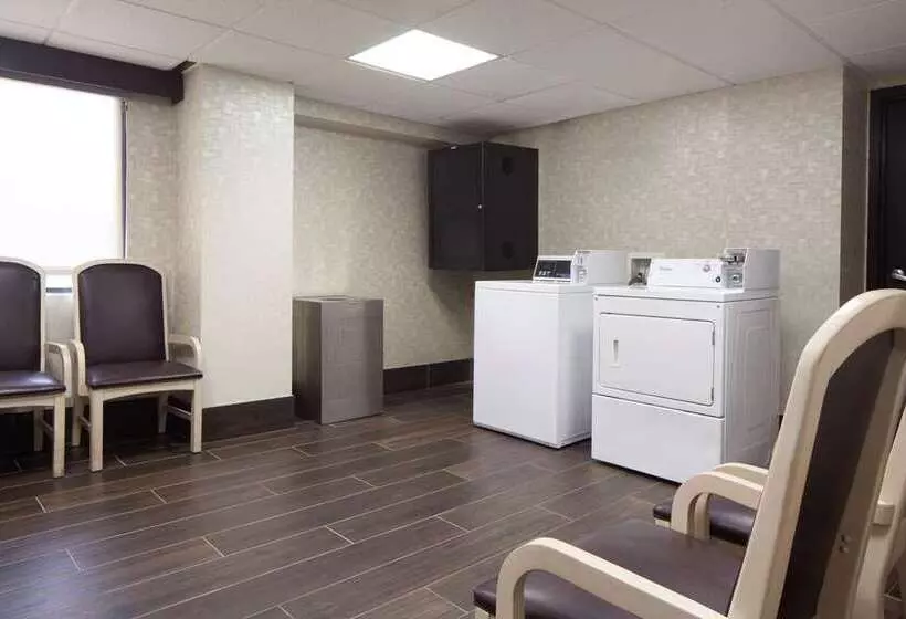 Fotos del hotel Embassy Suites By Hilton Houston Near The Galleria:  4