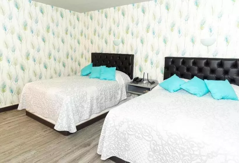 Fotos del hotel Grand  Kyrios Veracruz:  19