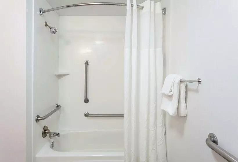 Fotos del hotel Hampton Inn Orlando-convention Center International Drive Area:  13