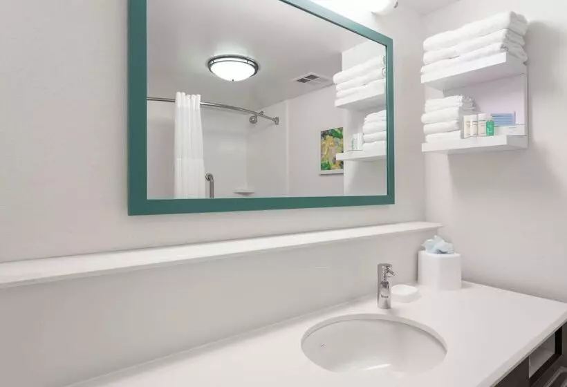 Fotos del hotel Hampton Inn Orlando-convention Center International Drive Area:  8