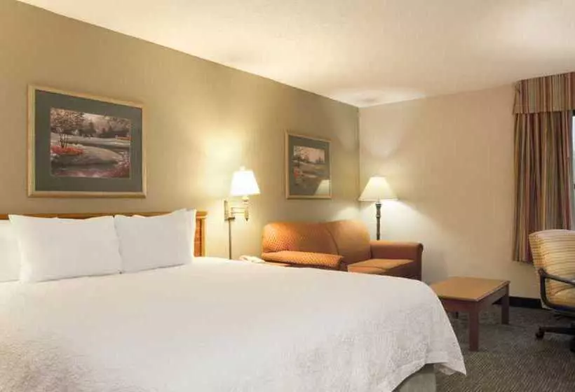 Fotos del hotel Hampton Inn Orlando-convention Center International Drive Area:  25