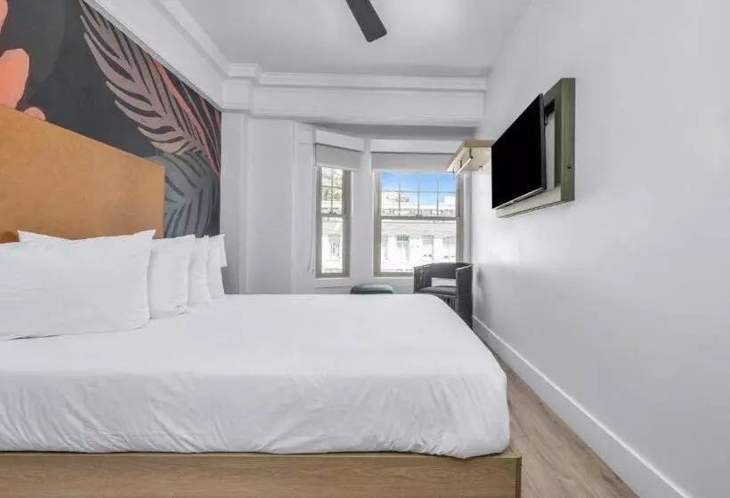 Fotos del hotel Nob Hill Hotel:  22