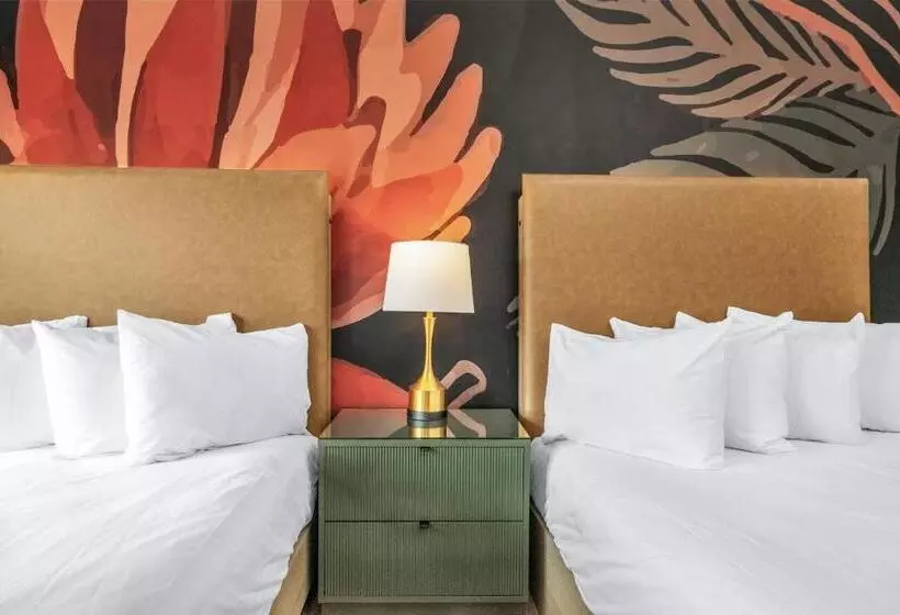 Fotos del hotel Nob Hill Hotel:  19