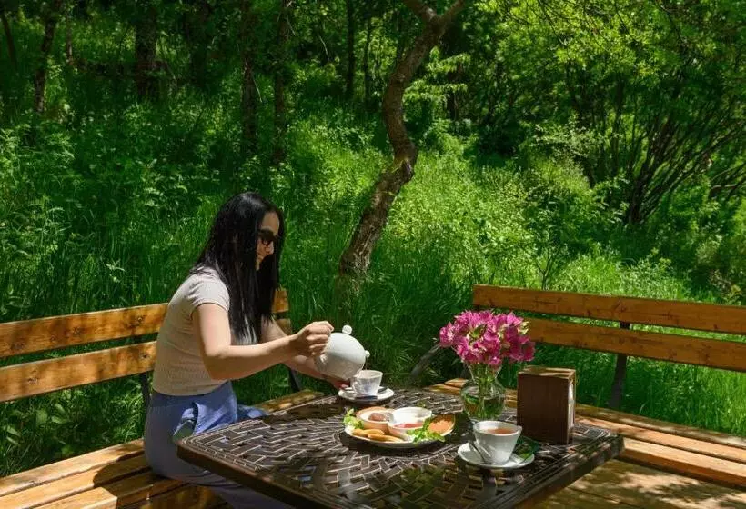 Fotos del hotel Aurora Resort Tsaghkadzor:  23