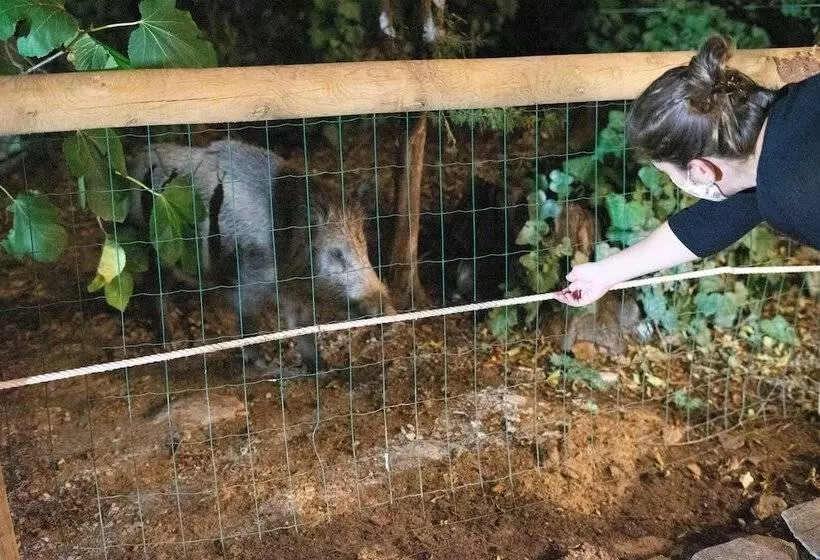 Fotos del hotel Humaina:  16