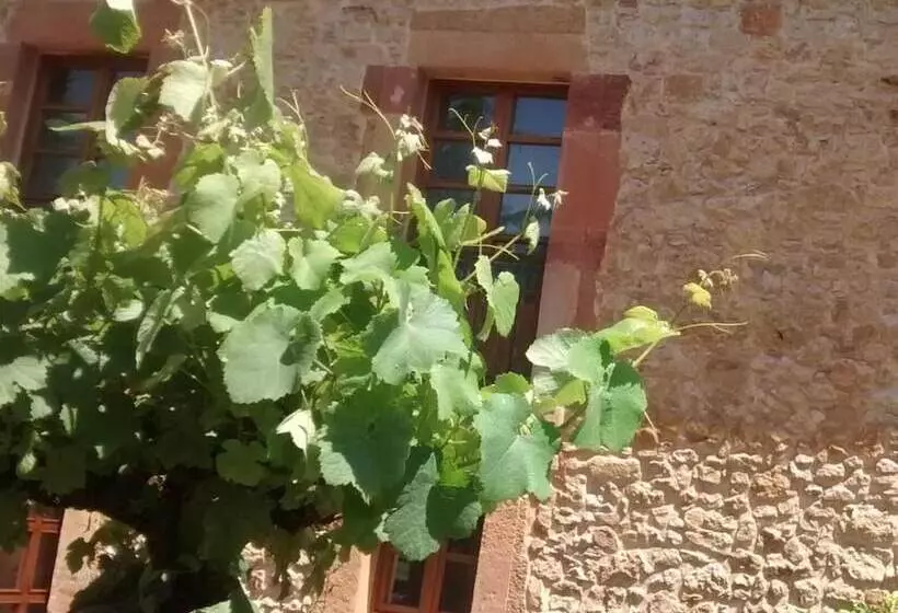 Fotos del hotel Palacio De La Viñona:  14