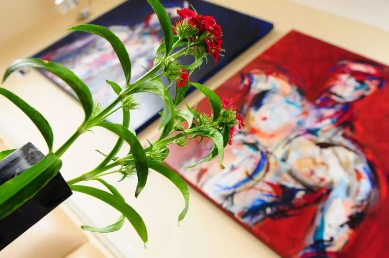 Fotos del hotel New Steine   B&b:  10