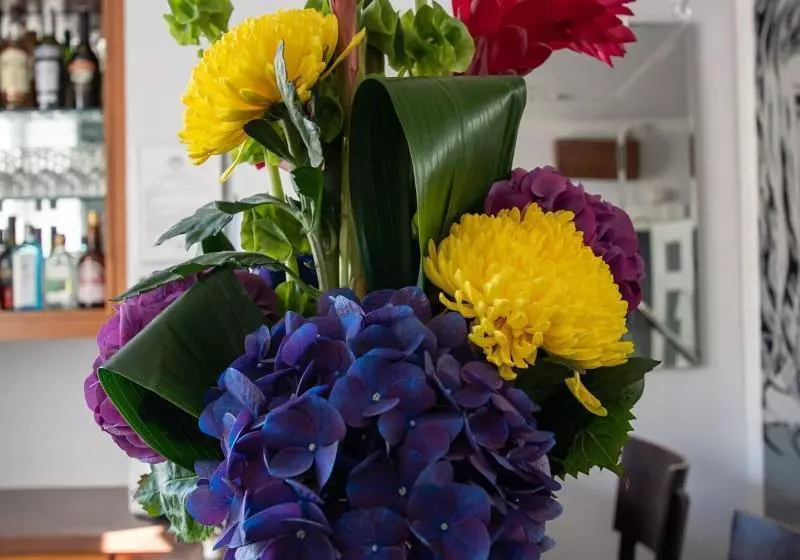 Fotos del hotel New Steine   B&b:  23