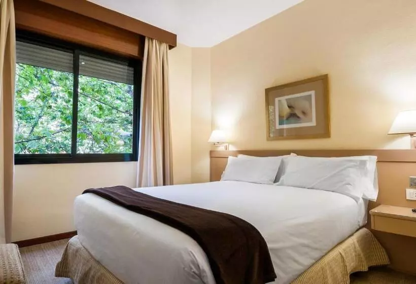 Fotos del hotel Espa Plaza Basílica:  18