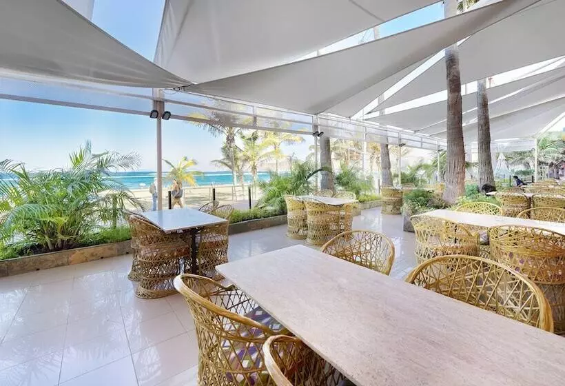 Fotos del hotel Bull Reina Isabel & Spa:  6