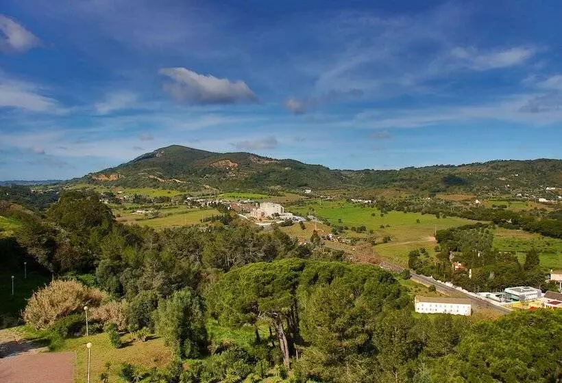 Fotos del hotel B&b  Sado Setúbal:  19