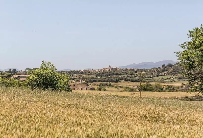 Fotos del hotel Agroturismo Sa Rota d' en Palerm:  3