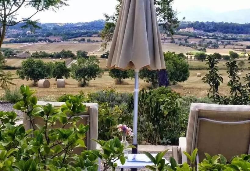 Fotos del hotel Agroturismo Sa Rota d' en Palerm:  21