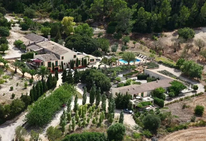 Fotos del hotel Agroturismo Sa Rota d' en Palerm:  6