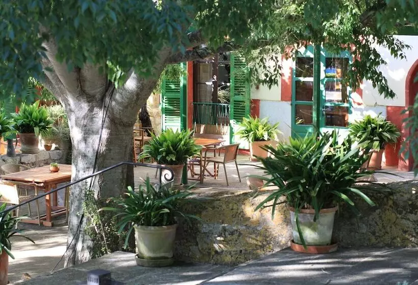 Fotos del hotel Agroturismo Sa Rota d' en Palerm:  2