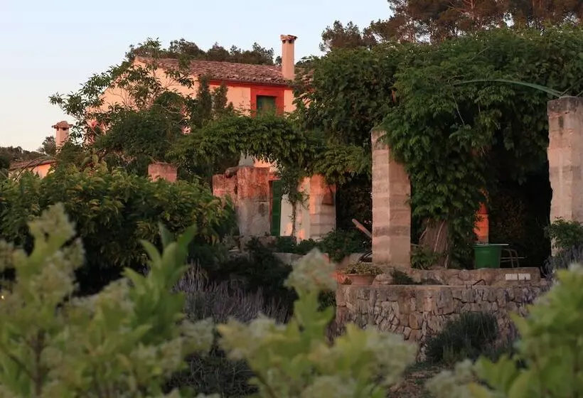 Fotos del hotel Agroturismo Sa Rota d' en Palerm:  15