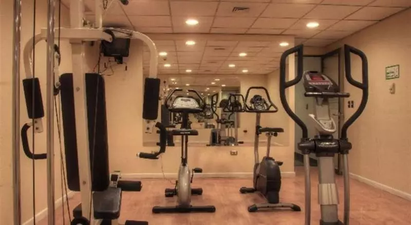 Fotos del hotel Diego De Almagro Aeropuerto:  11