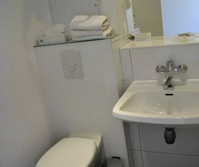 Fotos del hotel Du Parc Euromédecine:  11