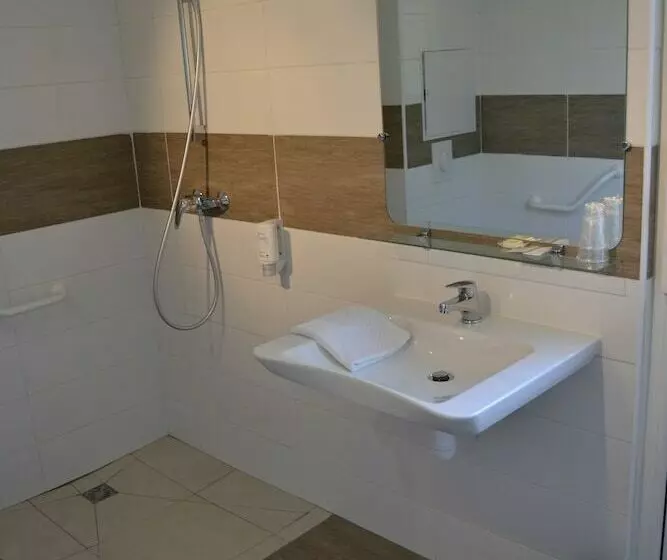 Fotos del hotel Du Parc Euromédecine:  16