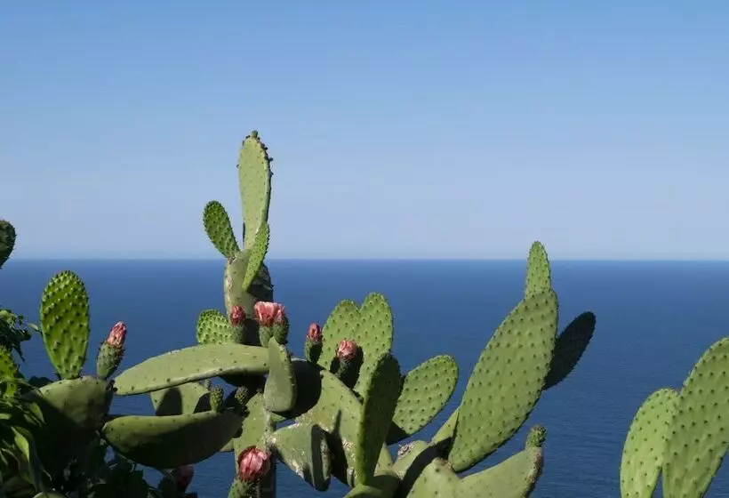 Fotos del hotel El Far Hotel Restaurant:  9