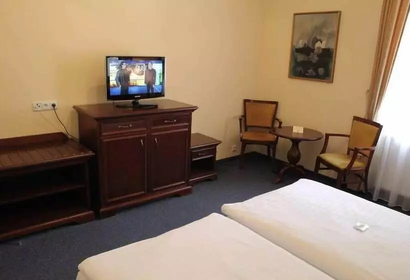 Fotos del hotel Park Richmond:  24