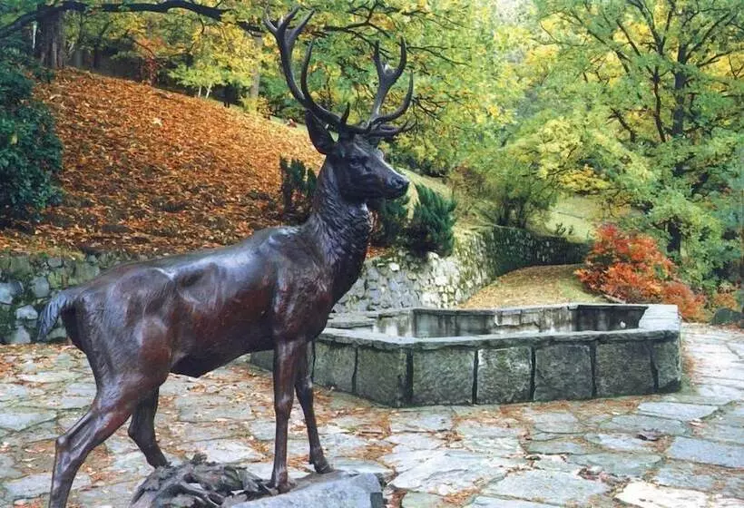 Fotos del hotel Park Richmond:  10