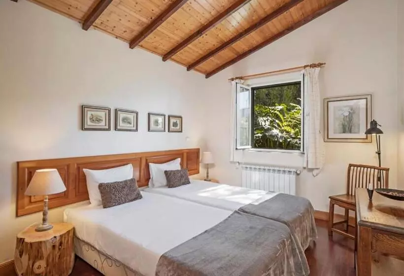 Fotos del hotel Quinta Devónia By An Island Apart:  8