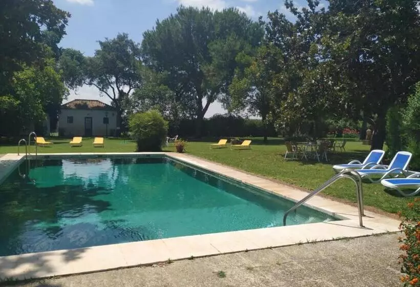 Fotos del hotel Cortijo El Esparragal:  8