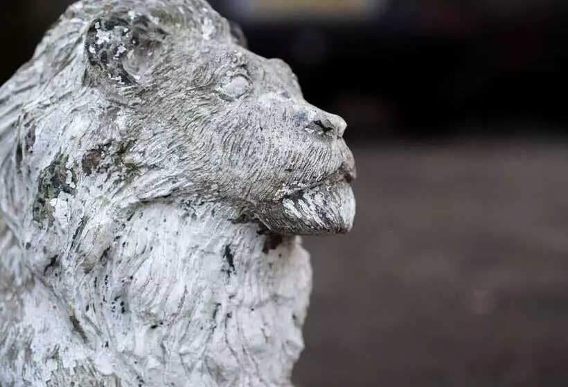 Fotos del hotel Cumberland Hotel:  6