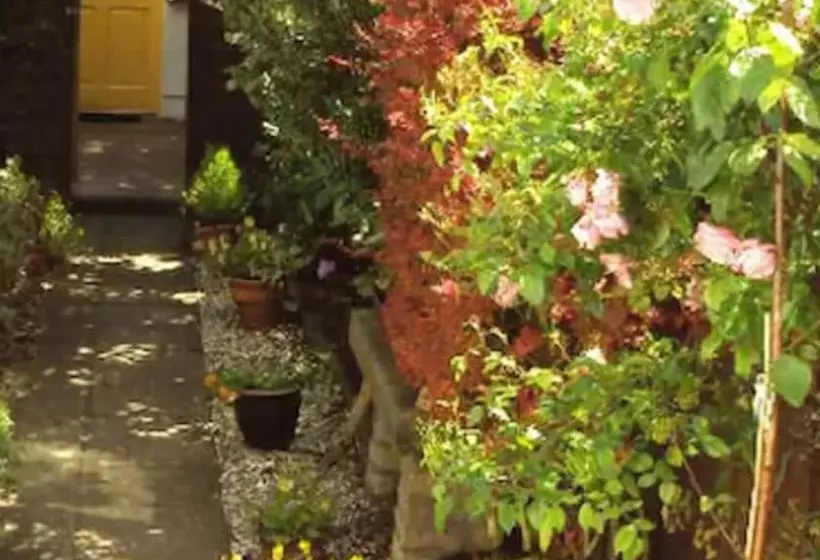 Fotos del hotel Donnybrook Hall:  8