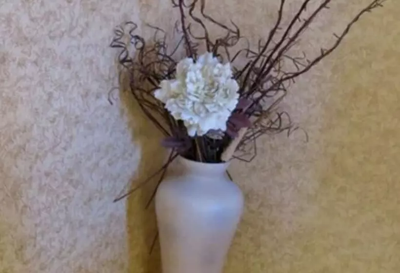 Fotos del hotel Donnybrook Hall:  21