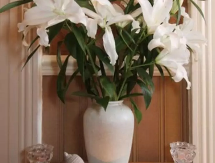 Fotos del hotel Donnybrook Hall:  10