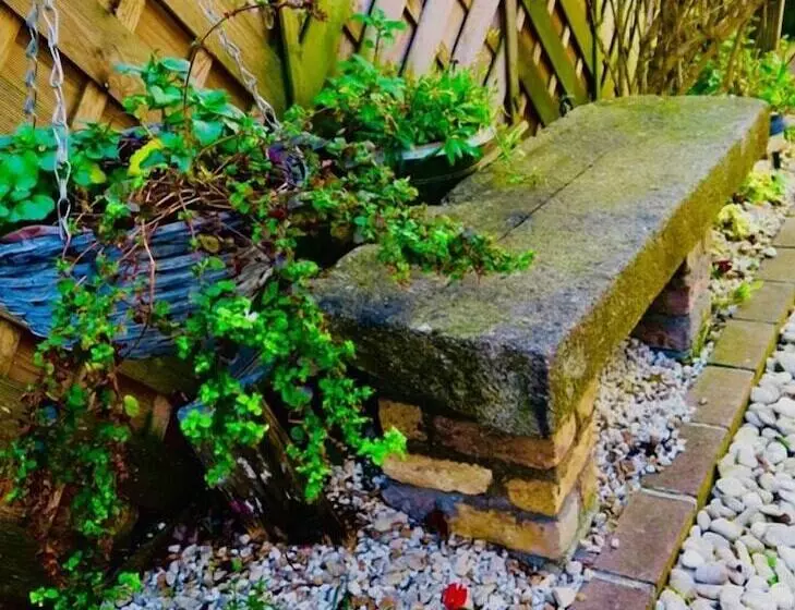 Fotos del hotel Donnybrook Hall:  14