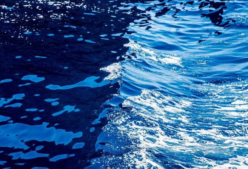 Fotos del hotel Mon Port  & Spa:  56