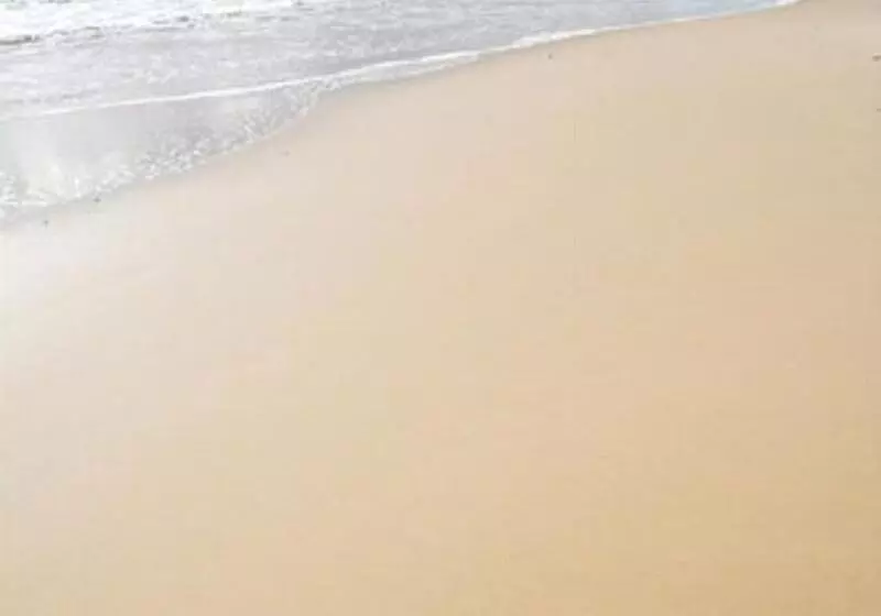 Fotos del hotel The Green House:  22