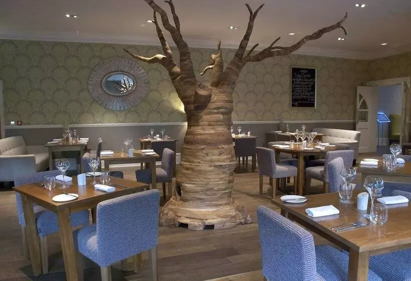 Fotos del hotel The Green House:  19