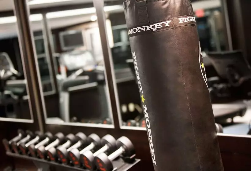 Fotos del hotel The Kimpton Muse Hotel, An Ihg:  17