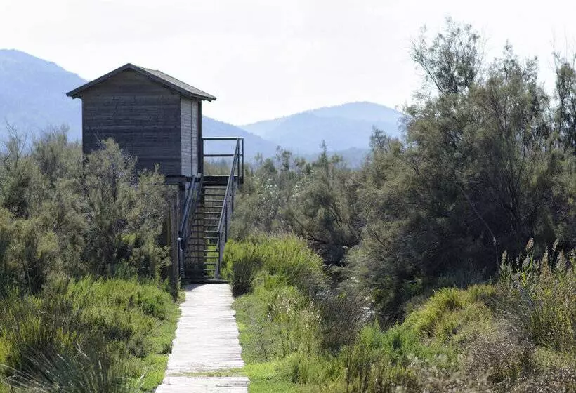 Fotos del hotel Portblue Club Pollentia Resort & Spa:  64