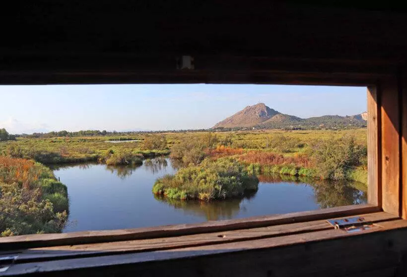 Fotos del hotel Portblue Club Pollentia Resort & Spa:  32